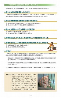 5ページ目はこちらです。