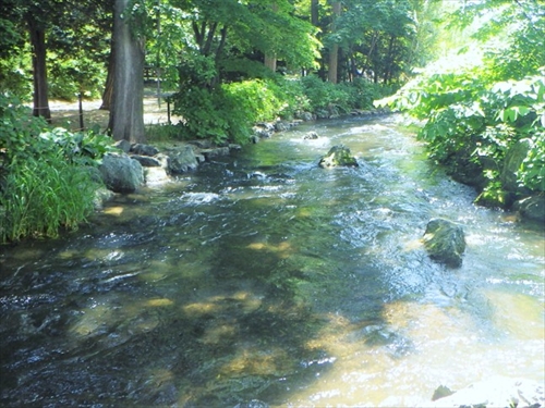中島公園内を流れる鴨々川の様子