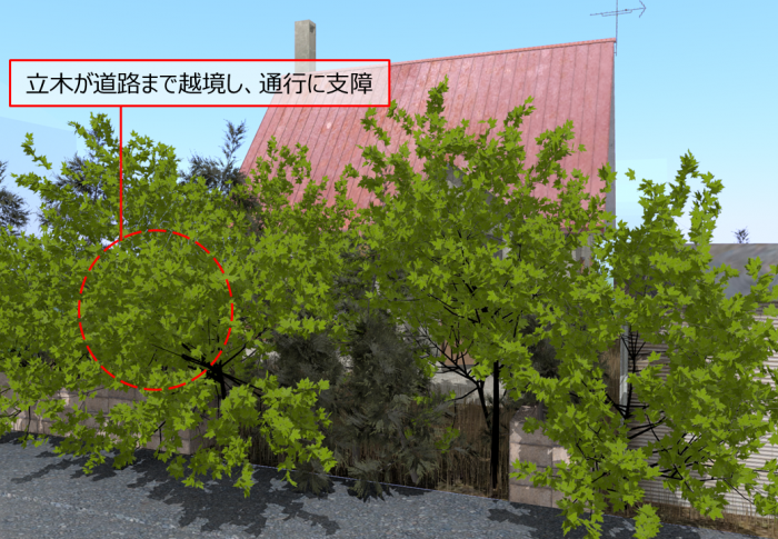 画像：立木が道路まで越境し、通行に支障