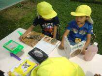 幼稚園読書活動