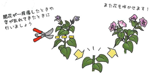 切り戻しの方法
