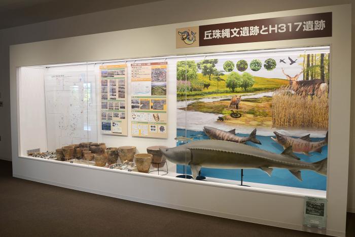 おかだま縄文展示室