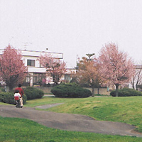 厚別南公園1