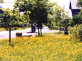 写真:真栄春通り公園