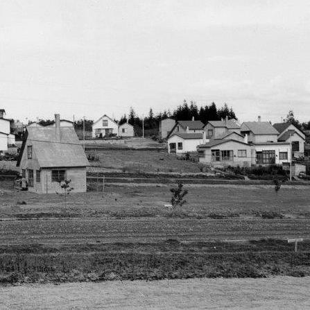 写真：清田団地4