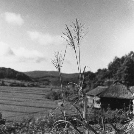 写真：昭和15年　清田3条3丁目