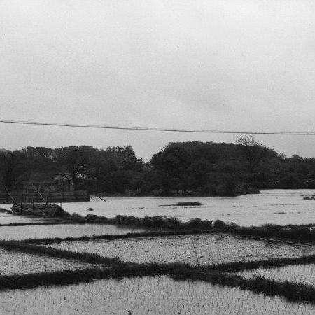 写真：水害の様子
