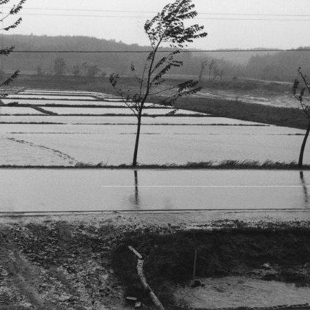写真：水害の様子