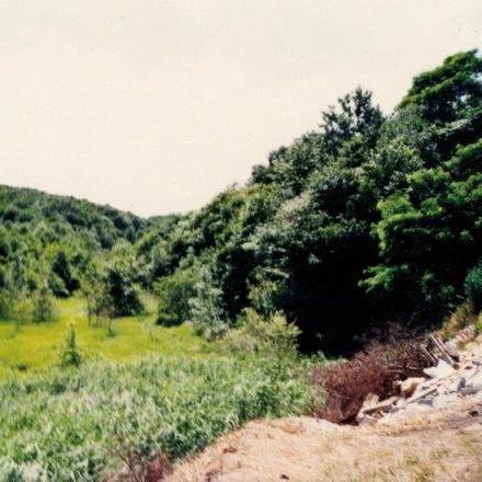 写真：昭和47年　美しが丘
