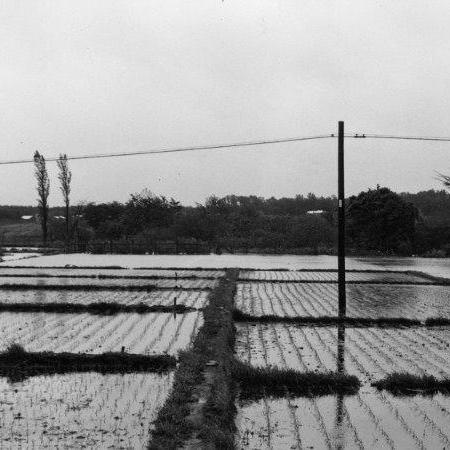 写真：水害の様子