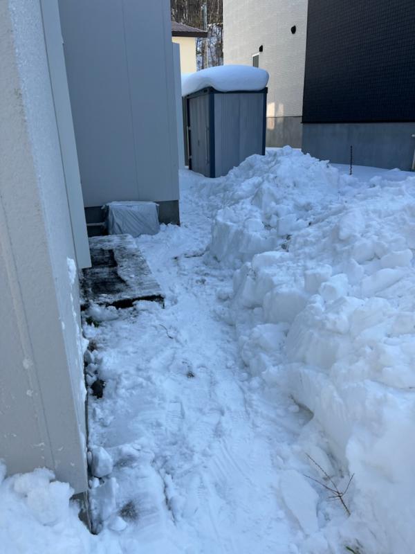 令和7年度除雪ボランティア（あいおいニッセイ2）