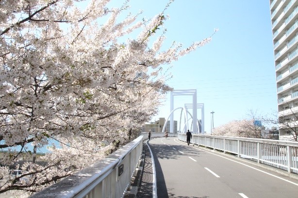 活用促進景観資源(白石こころーど)