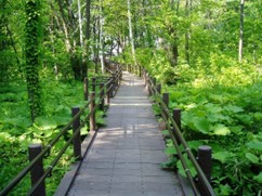 活用促進景観資源(北野かたくら緑地)