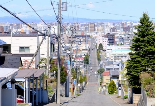 活用促進景観資源(かつら坂)