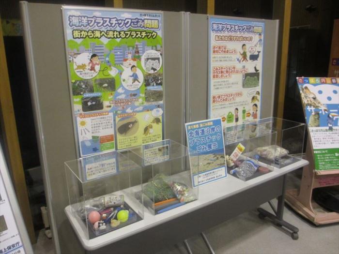 円山動物園イベント展示その1