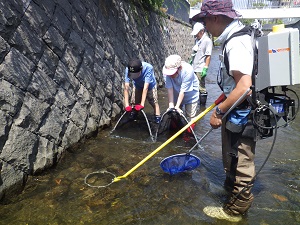 魚類の捕獲 電気ショッカー