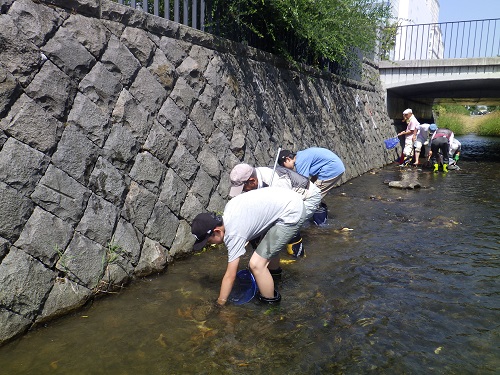 魚類の捕獲 たも網