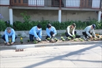 植花ボランティア(札幌日信電子)2
