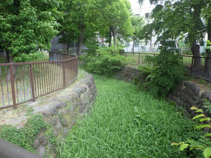 旧中の川整備前1