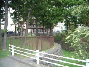 旧中の川整備前3