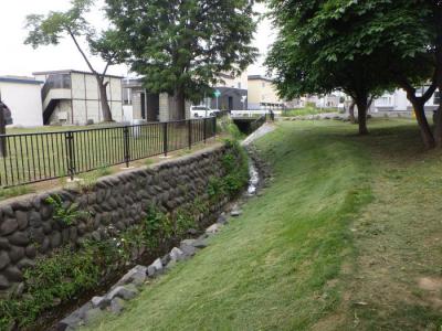 旧中の川整備後2