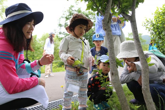 写真：親子が木に指をさして、何かを探している様子