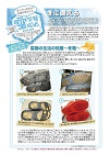 雪学習ニューズNo.15画像1
