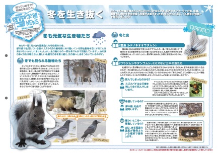雪学習ニューズNo.3画像