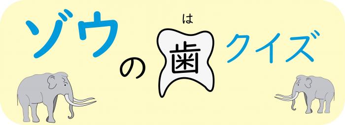 ゾウの歯クイズ問題