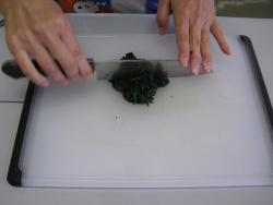 写真：ほうれん草の葉先を細かく刻んでいるようす