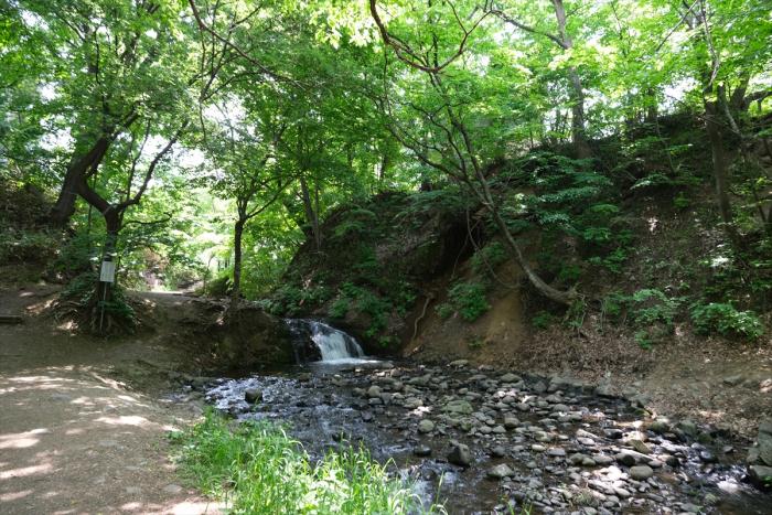 精進川にある小さな滝