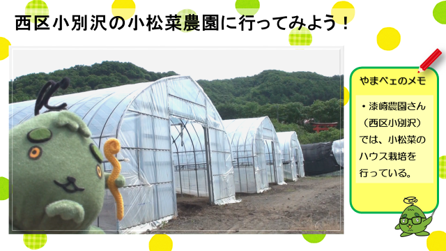 動画スライド:西区小別沢の小松菜農園に行ってみよう!