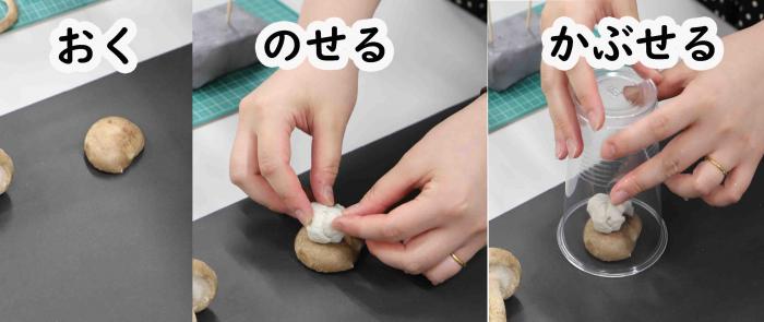 胞子紋2