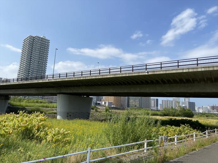 南大橋