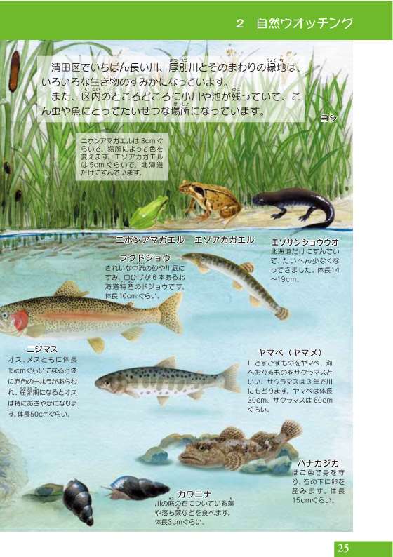 p.25