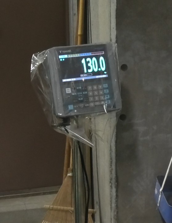 ライオンの体重
