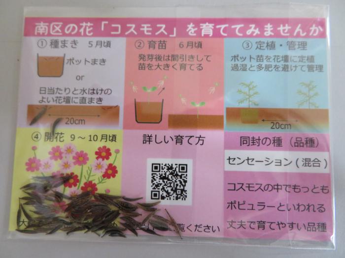 ティッシュうら