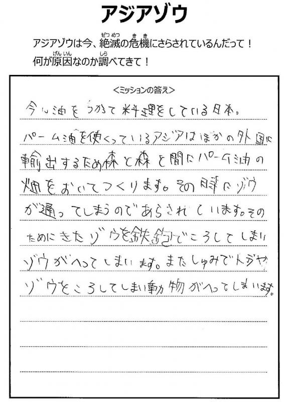 ミッションカードアジアゾウ2