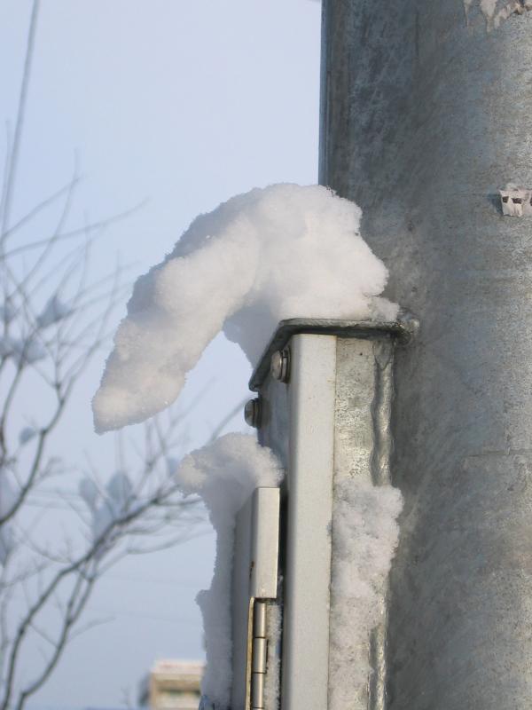 雪のおじぎ