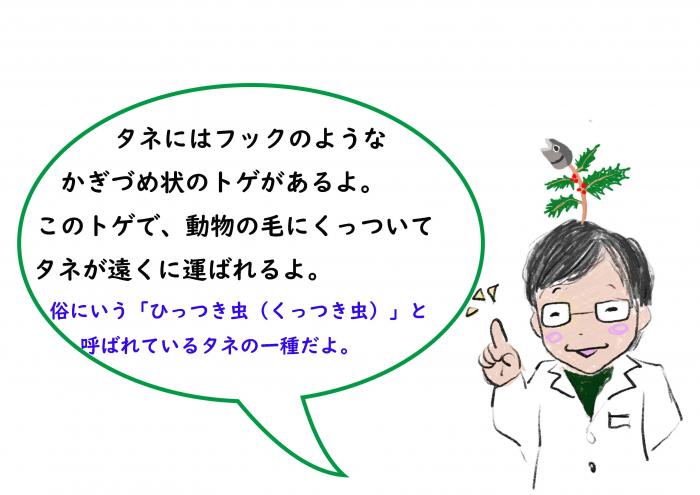 山崎さん解説1