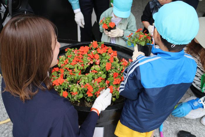 花植えの様子2