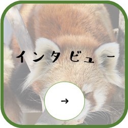 インタビューアイコン