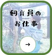飼育員のお仕事
