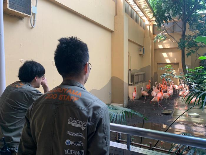 どうぶつ園のじゅういのお仕事1
