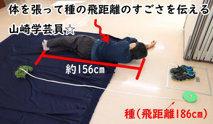 山崎学芸員計測