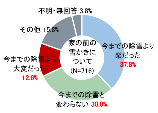 R1家の前の雪かき