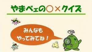 動画スライド:「やまベェの○×クイズ」