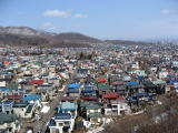 五天山から見た西野地区