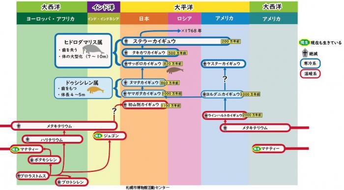 系統図