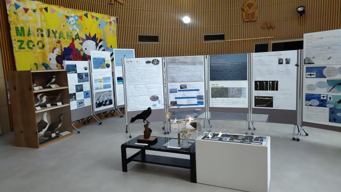 第一回海鳥展の様子2